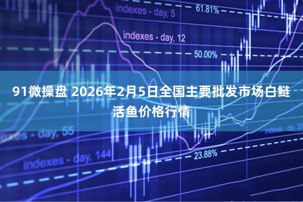 91微操盘 2026年2月5日全国主要批发市场白鲢活鱼价格行情