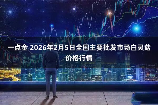 一点金 2026年2月5日全国主要批发市场白灵菇价格行情