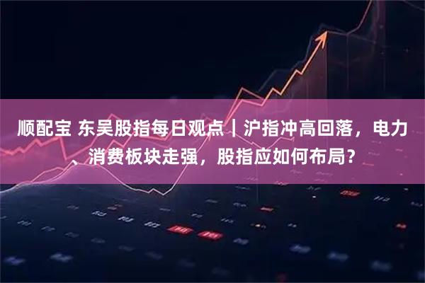 顺配宝 东吴股指每日观点｜沪指冲高回落，电力、消费板块走强，股指应如何布局？