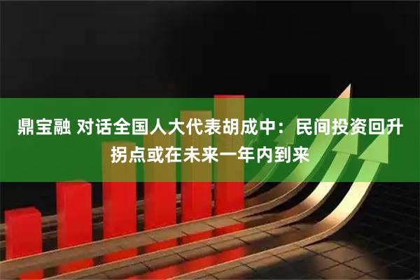 鼎宝融 对话全国人大代表胡成中：民间投资回升拐点或在未来一年内到来