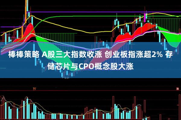 棒棒策略 A股三大指数收涨 创业板指涨超2% 存储芯片与CPO概念股大涨