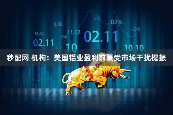 秒配网 机构：美国铝业盈利前景受市场干扰提振