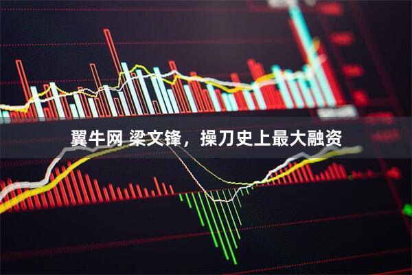 翼牛网 梁文锋，操刀史上最大融资