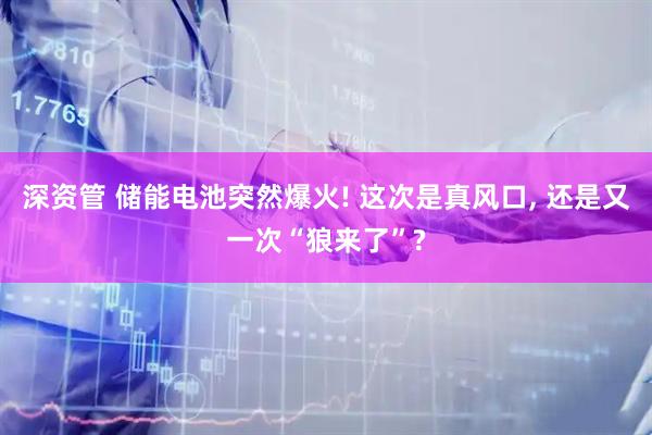 深资管 储能电池突然爆火! 这次是真风口, 还是又一次“狼来了”?