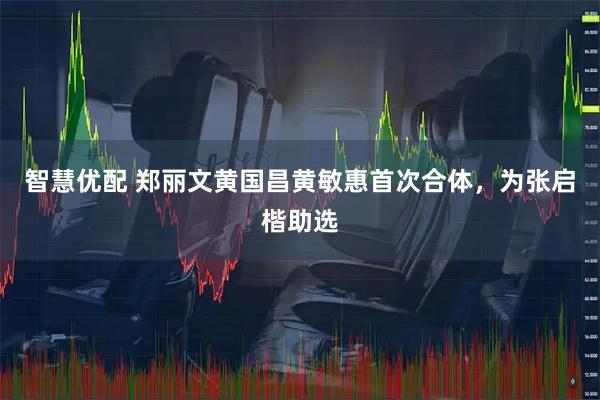 智慧优配 郑丽文黄国昌黄敏惠首次合体，为张启楷助选
