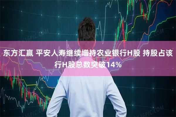 东方汇赢 平安人寿继续增持农业银行H股 持股占该行H股总数突破14%