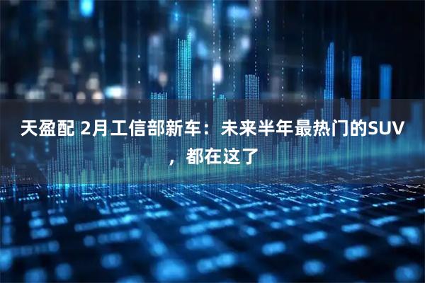 天盈配 2月工信部新车：未来半年最热门的SUV，都在这了