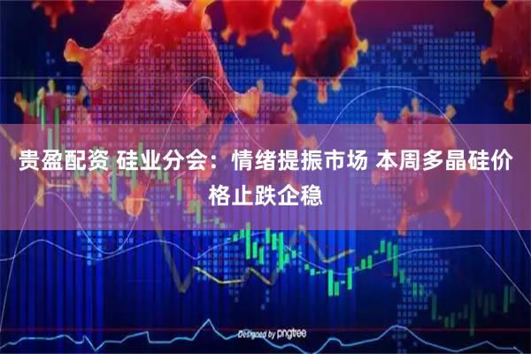 贵盈配资 硅业分会：情绪提振市场 本周多晶硅价格止跌企稳