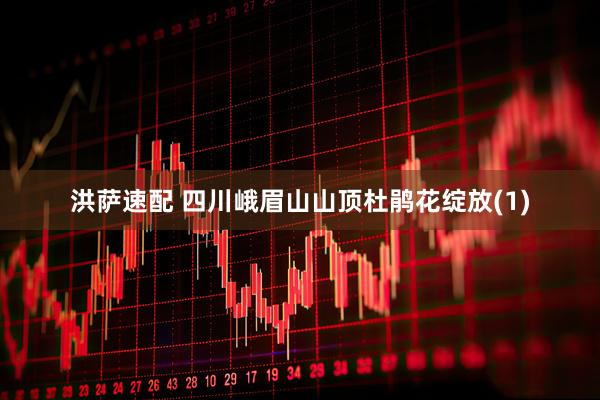 洪萨速配 四川峨眉山山顶杜鹃花绽放(1)