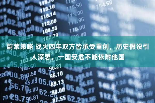蔚莱策略 战火四年双方皆承受重创，历史假设引人深思，一国安危不能依附他国